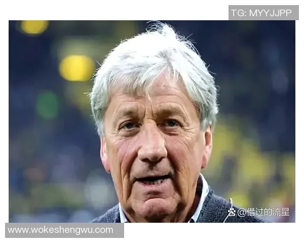 上世纪最具影响力的十大足球球星盘点及其传奇成就分析 上世纪最具影响力的十大足球球星盘点及其传奇成就分析