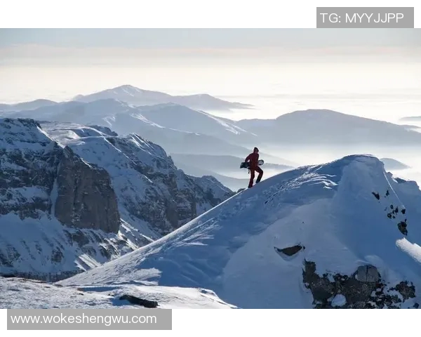 加维在球场上全情投入,展现年轻球星的速度与激情 加维在球场上全情投入,展现年轻球星的速度与激情