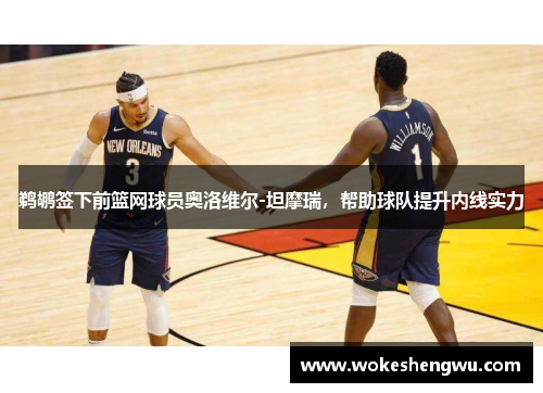 鹈鹕签下前篮网球员奥洛维尔-坦摩瑞，帮助球队提升内线实力