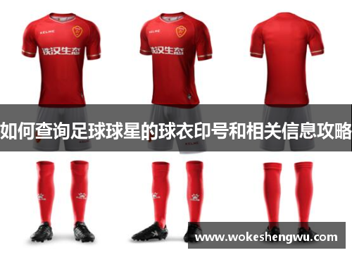如何查询足球球星的球衣印号和相关信息攻略