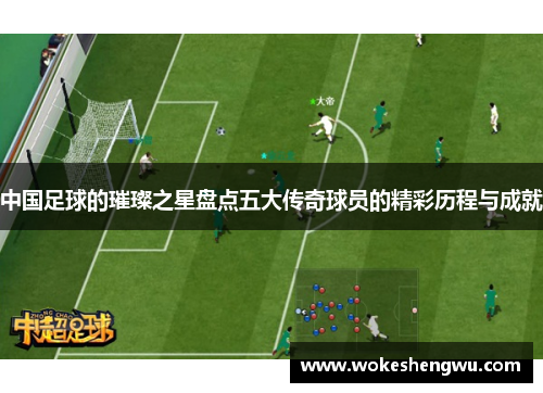 中国足球的璀璨之星盘点五大传奇球员的精彩历程与成就