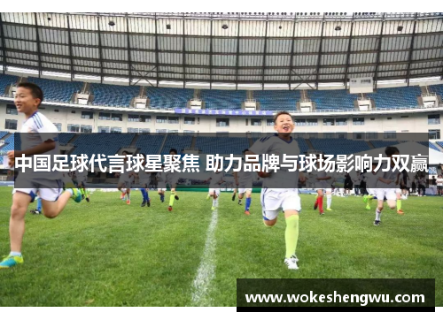 中国足球代言球星聚焦 助力品牌与球场影响力双赢