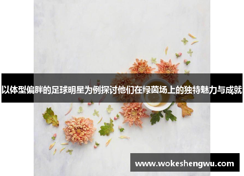 以体型偏胖的足球明星为例探讨他们在绿茵场上的独特魅力与成就