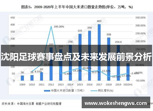 沈阳足球赛事盘点及未来发展前景分析