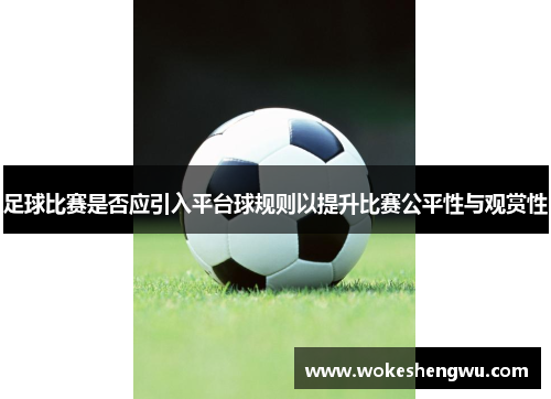 足球比赛是否应引入平台球规则以提升比赛公平性与观赏性