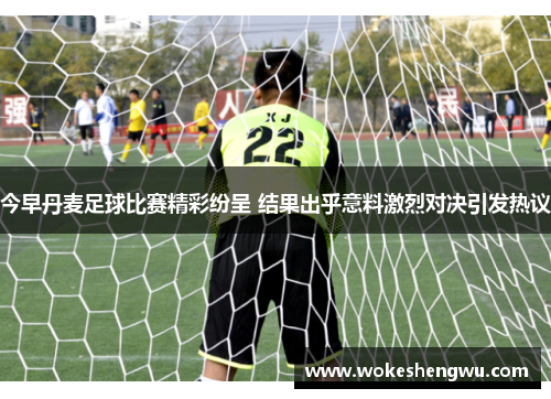 今早丹麦足球比赛精彩纷呈 结果出乎意料激烈对决引发热议